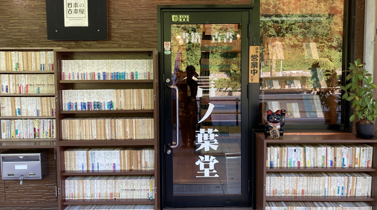 言ノ葉堂 店内の風景：静かな知の空間